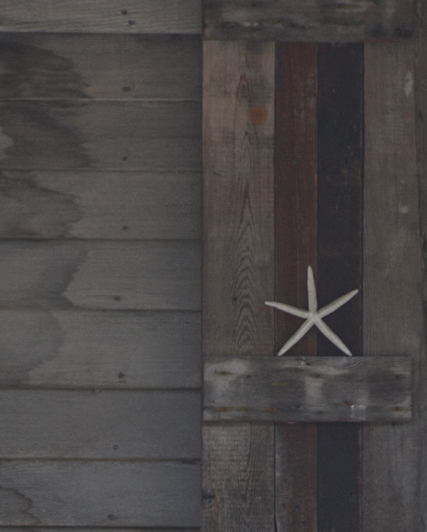 starfish decoration on house